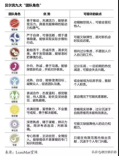 roles in team